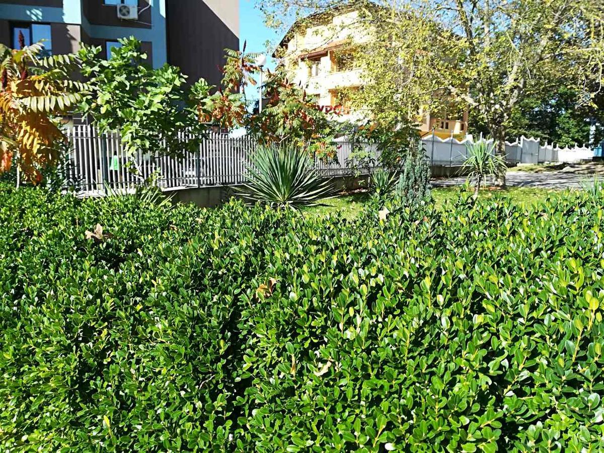 Park 1 Hotel Kiten  Bagian luar foto
